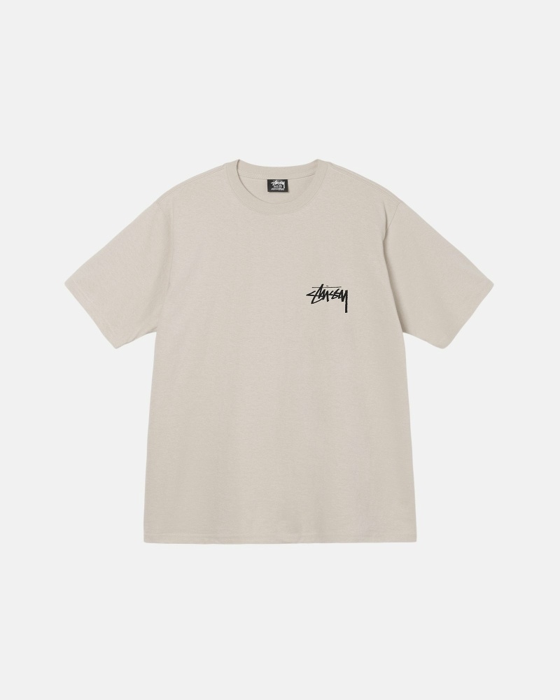 Beige Stussy Diced Out Men's T Shirts | USA000160