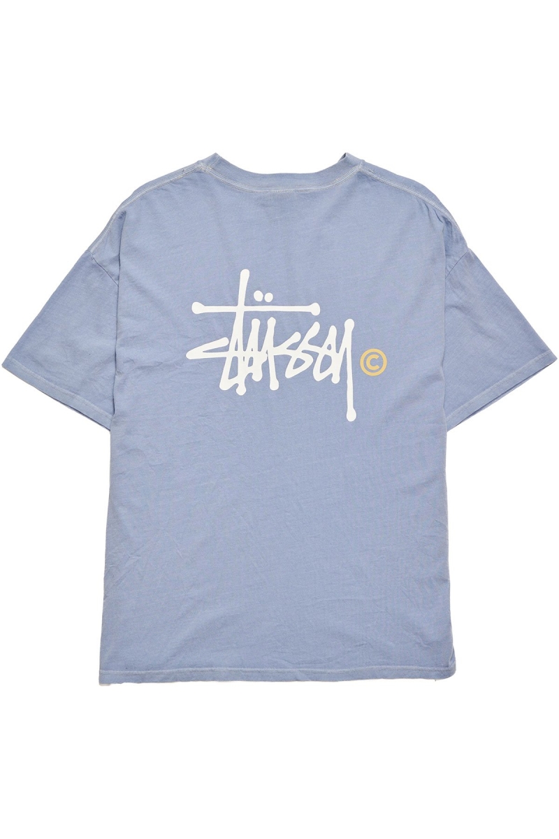 Blue Stussy Graffiti Women's T Shirts | USA000192