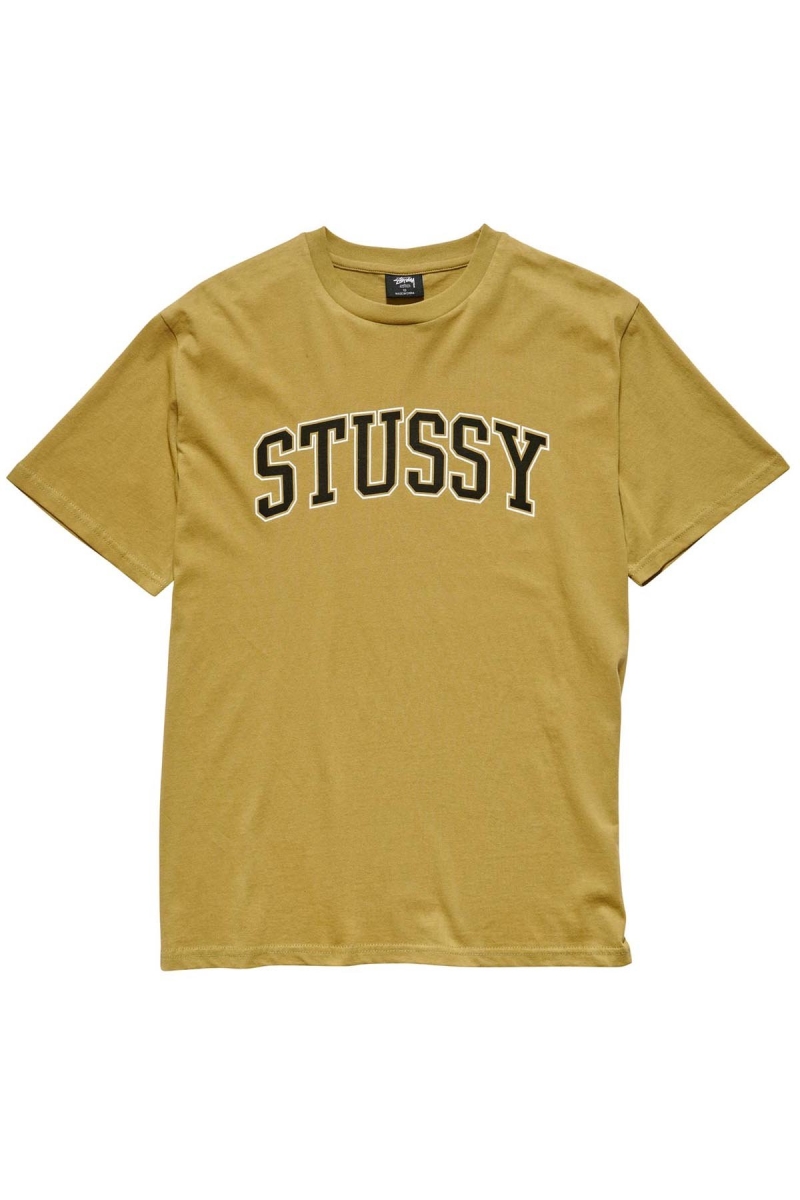 Brown Stussy Collegiate BF Women\'s T Shirts | USA000133