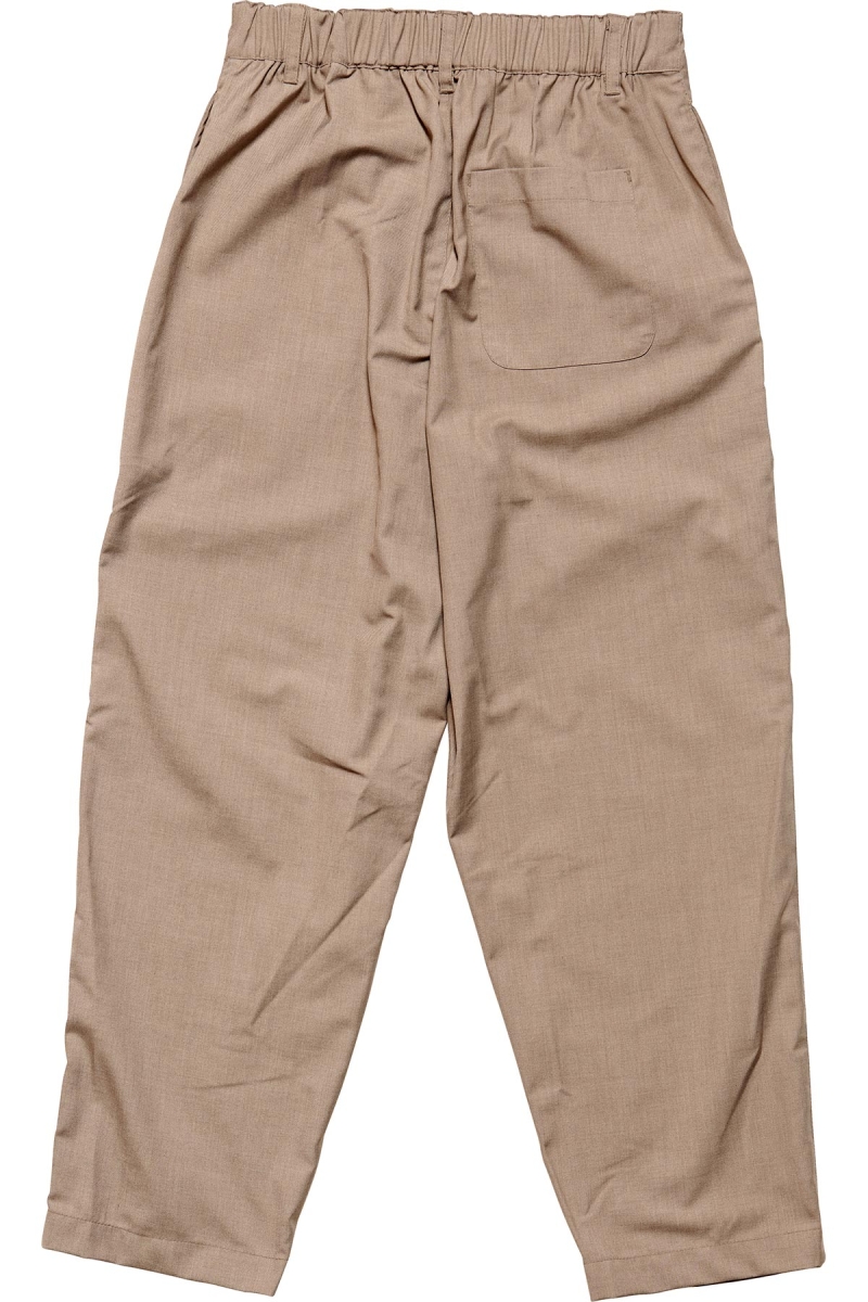 Brown Stussy Sanford Pleated Trouser Women's Pants | USA000594