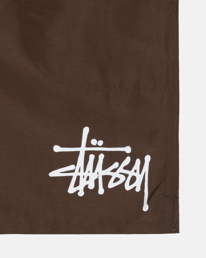 Coffee Stussy Big Basic Men's Shorts | USA000620