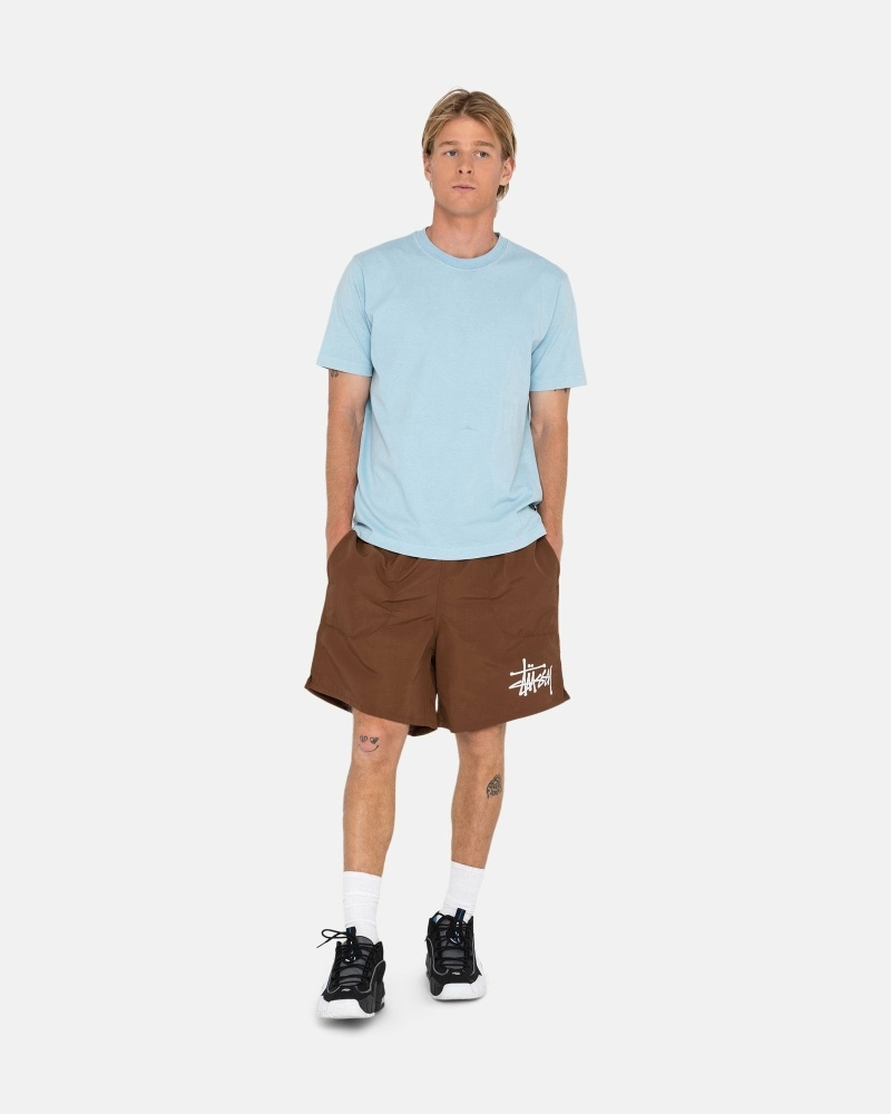 Coffee Stussy Big Basic Men's Shorts | USA000620