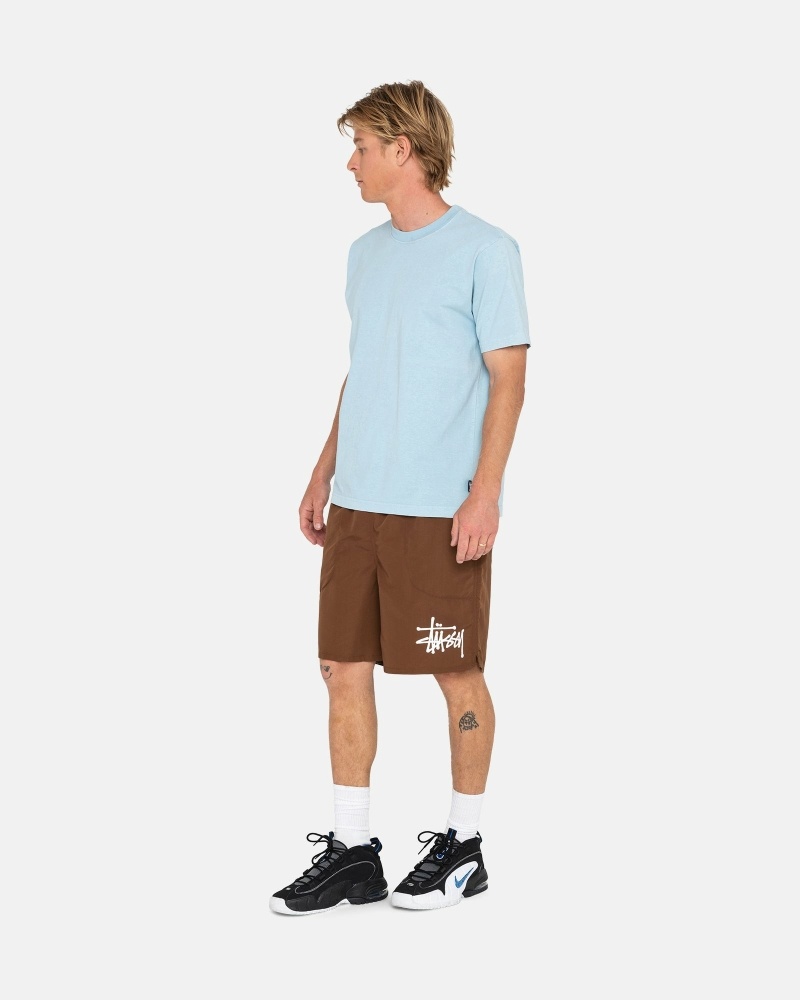 Coffee Stussy Big Basic Men's Shorts | USA000620