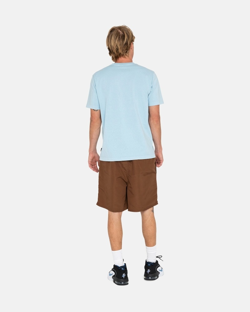 Coffee Stussy Big Basic Men's Shorts | USA000620