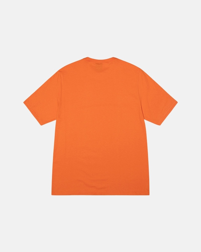 Coral Stussy Stock Box Men's T Shirts | USA000273