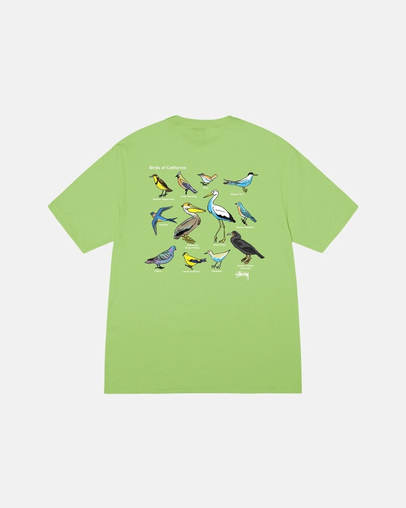 Green Stussy California Birds Men's T Shirts | USA000118