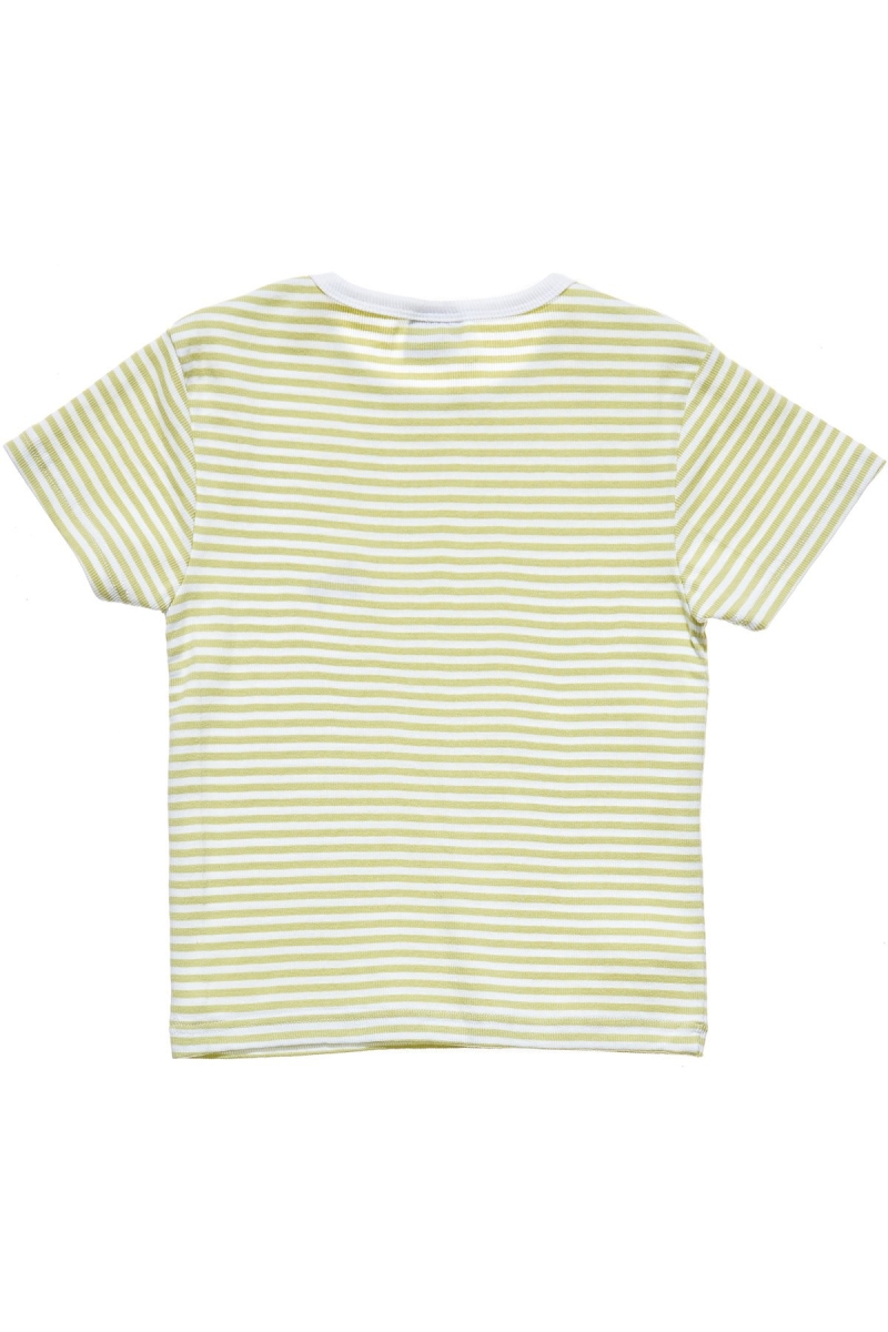 Green Stussy Hyde Stripe Rib Women's T Shirts | USA000221