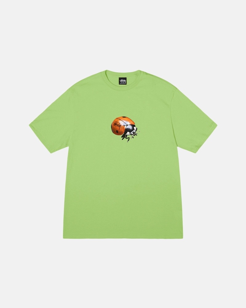 Green Stussy Ladybug Men\'s T Shirts | USA000232