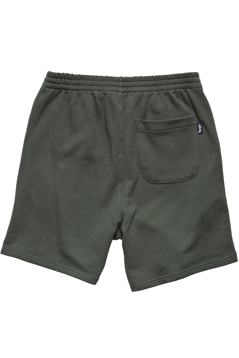 Green Stussy Text Fleece Short Men's Sportswear | USA000792