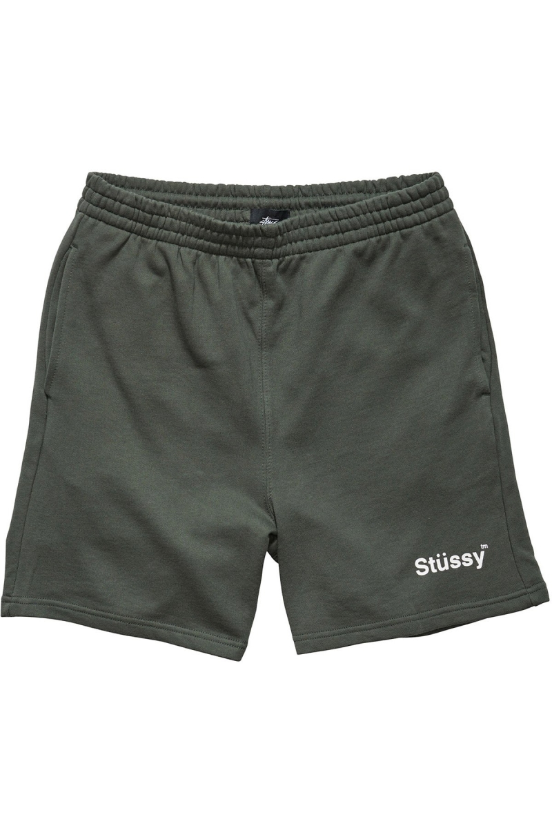 Green Stussy Text Fleece Short Men\'s Sportswear | USA000792