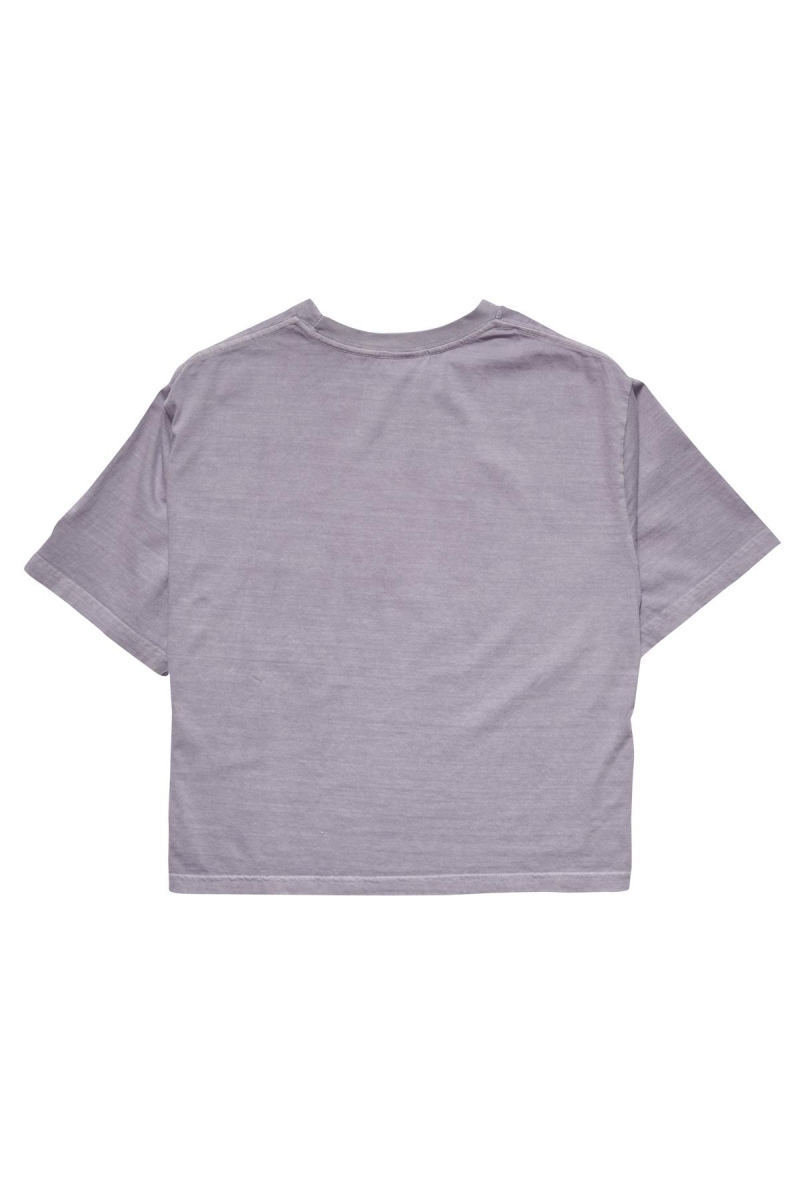 Grey Stussy Text Waisted OS Tee Women's Sportswear | USA000797