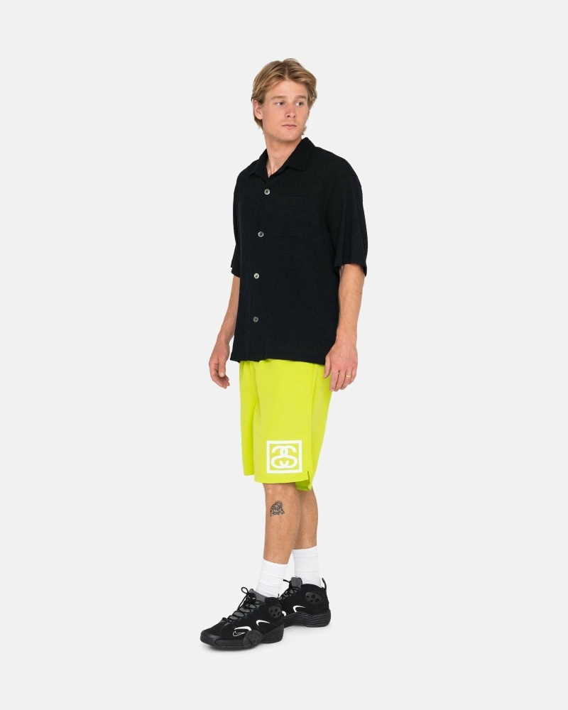 Light Green Stussy Ss-Link Men's Shorts | USA000682