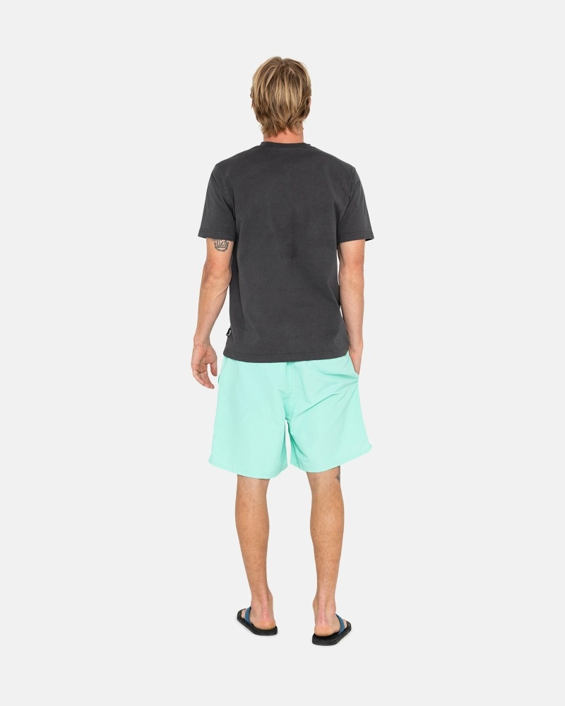 Light Turquoise Stussy Stock Men's Shorts | USA000695