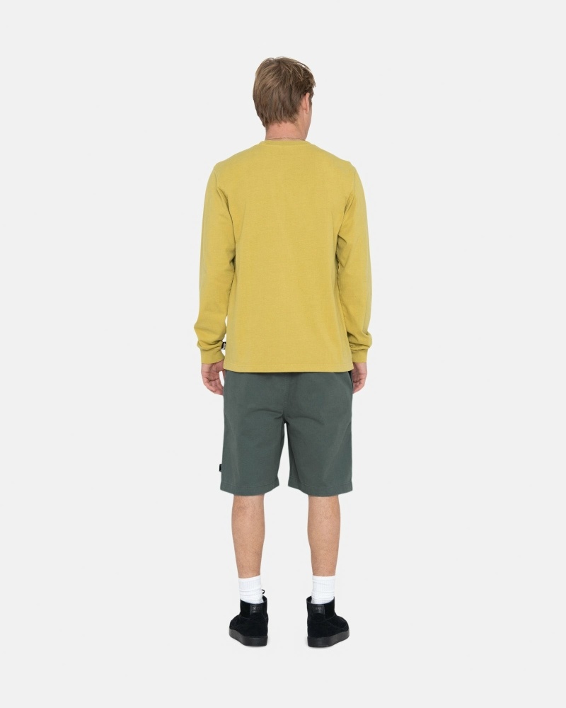 Olive Stussy Brushed Men's Shorts | USA000631