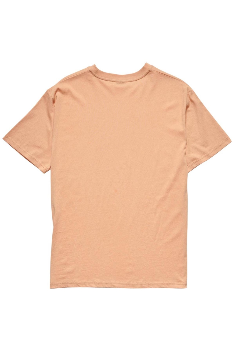 Orange Stussy Collegiate BF Women's T Shirts | USA000132