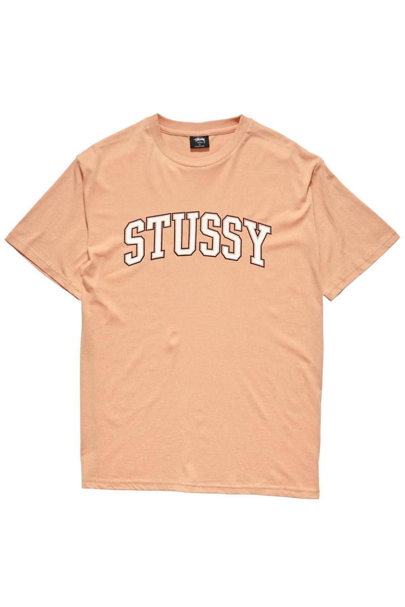 Orange Stussy Collegiate BF Women\'s T Shirts | USA000132