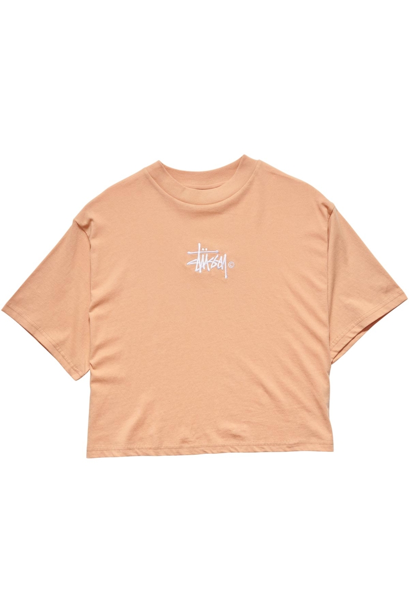 Orange Stussy Graffiti Boxy Women\'s T Shirts | USA000174