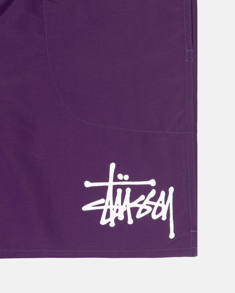 Purple Stussy Big Basic Men's Shorts | USA000618