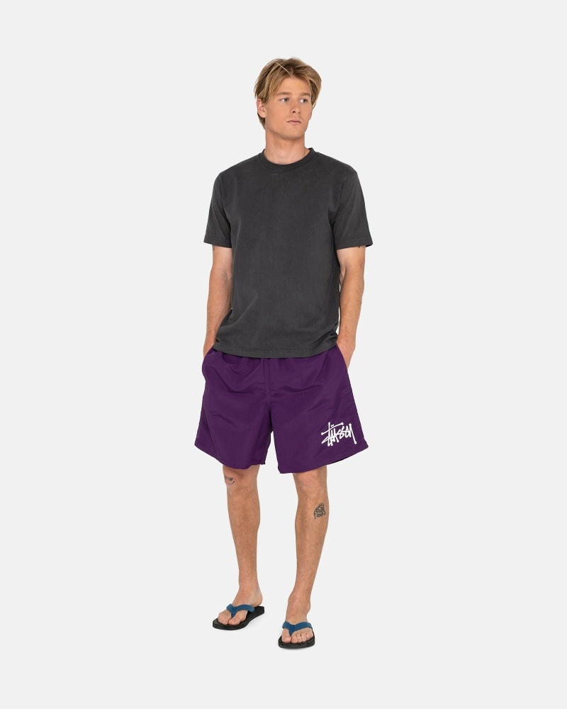 Purple Stussy Big Basic Men's Shorts | USA000618