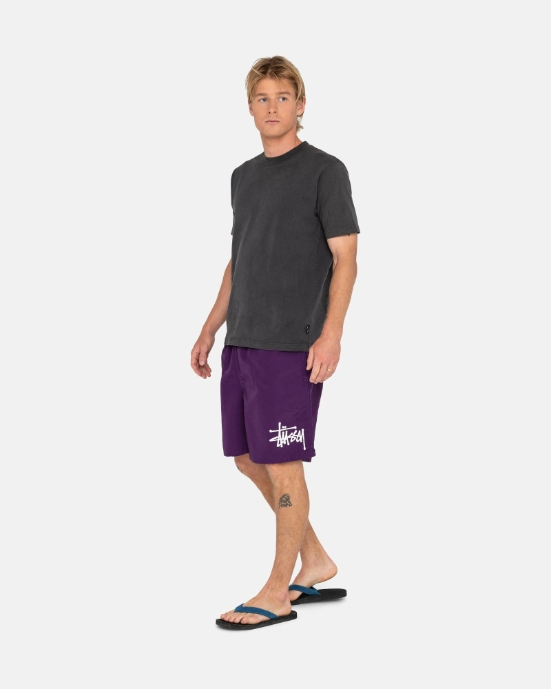 Purple Stussy Big Basic Men's Shorts | USA000618