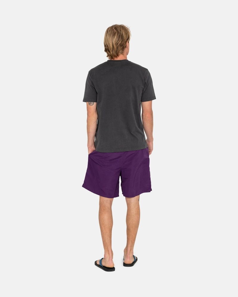 Purple Stussy Big Basic Men's Shorts | USA000618