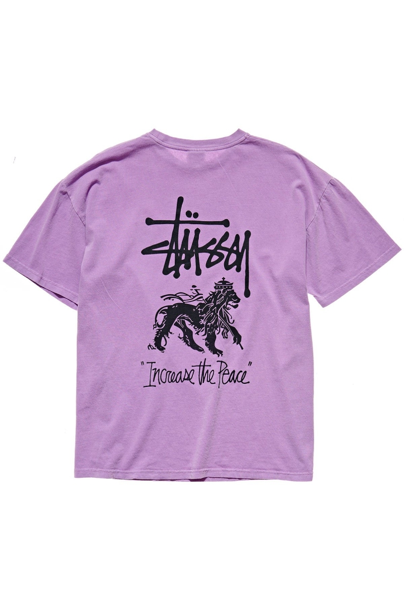 Red Stussy Regal Relaxed Women's T Shirts | USA000258