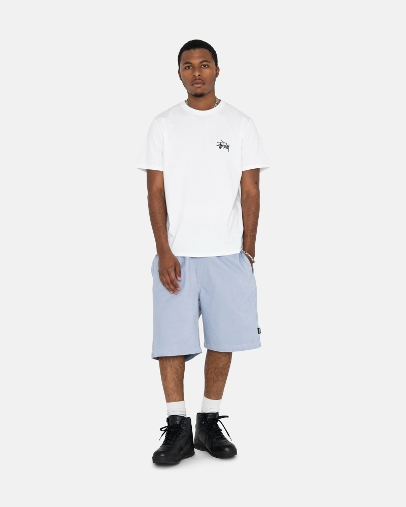 Silver Stussy Brushed Men's Shorts | USA000635