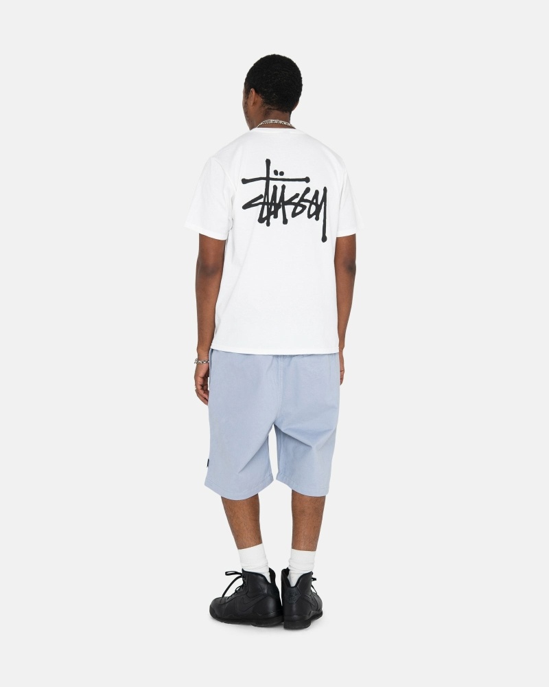 Silver Stussy Brushed Men's Shorts | USA000635