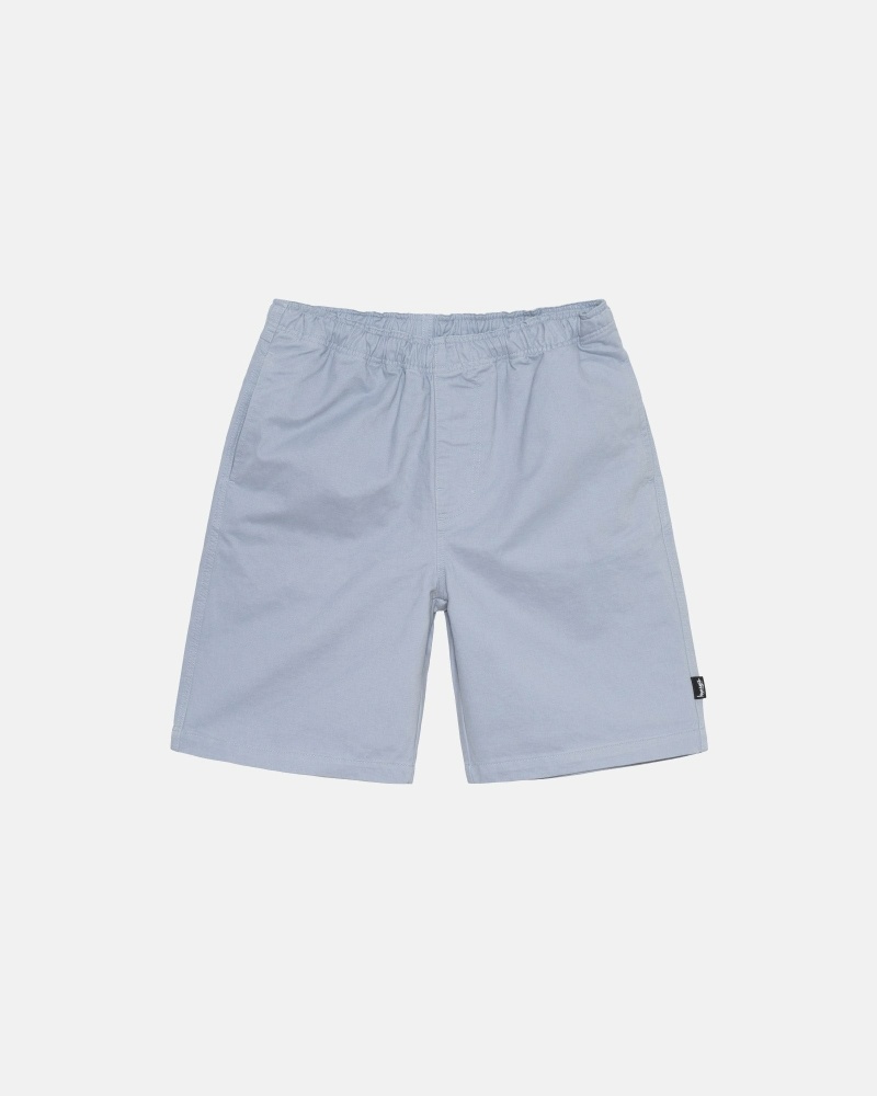 Silver Stussy Brushed Men\'s Shorts | USA000635