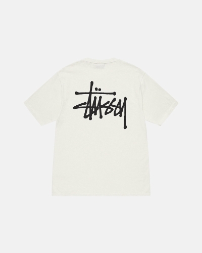 Beige Stussy Basic Pigment Dyed Men's T Shirts | USA000105