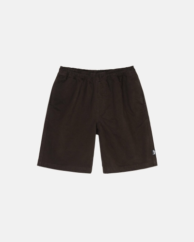 Brown Stussy Brushed Men's Shorts | USA000634