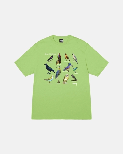 Green Stussy California Birds Men's T Shirts | USA000118