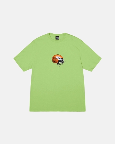 Green Stussy Ladybug Men's T Shirts | USA000232