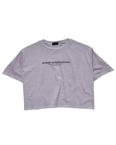 Grey Stussy Text Waisted OS Women's T Shirts | USA000279