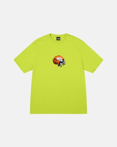 Light Green Stussy Ladybug Men's T Shirts | USA000233