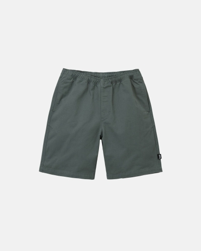 Olive Stussy Brushed Men's Shorts | USA000631