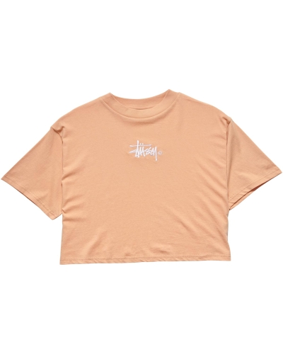 Orange Stussy Graffiti Boxy Women's T Shirts | USA000174