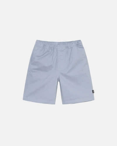 Silver Stussy Brushed Men's Shorts | USA000635